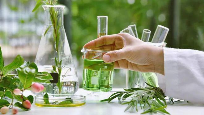 植物干细胞培养液让肌肤焕颜重生的钥匙(图6)