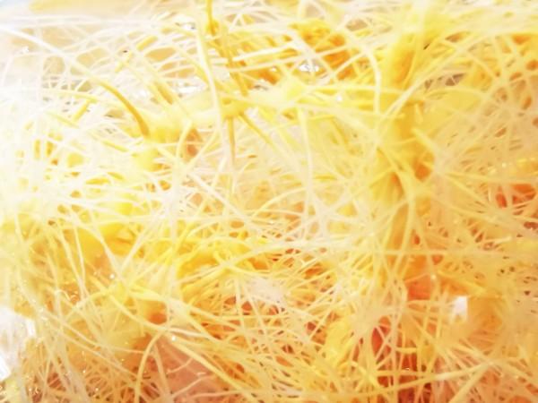 解码植物干细胞的无限“复刻”：让珍稀药材实现“吨级”生产技术革命破解千年药源困境｜追寻新质生产力(图1)