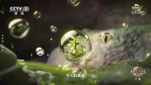 植物医生以文化输出破局美妆行业迈向国际舞台(图2)
