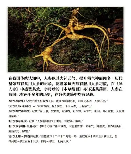 安然纳米技术再创里程碑！人参不定根组培技术规程正式落地(图4)