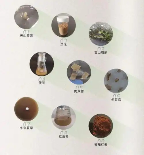 安然纳米技术再创里程碑！人参不定根组培技术规程正式落地(图10)