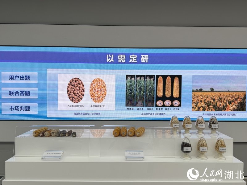 行进中国丨“四不像”新型研发机构里的“化合反应”(图1)