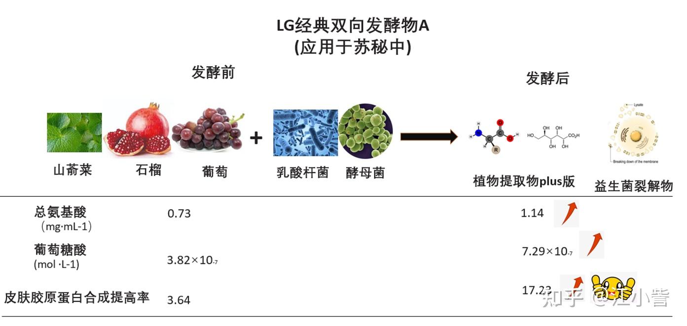 2013年舒马赫昏迷妻子科琳娜9年花20亿救夫卖车卖房也不放弃(图1)