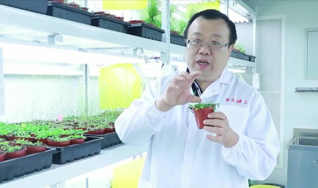 中通客车(000957)(图1)