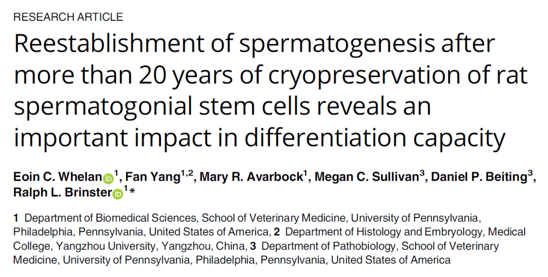 创新引领激活强劲发展动能(图1)