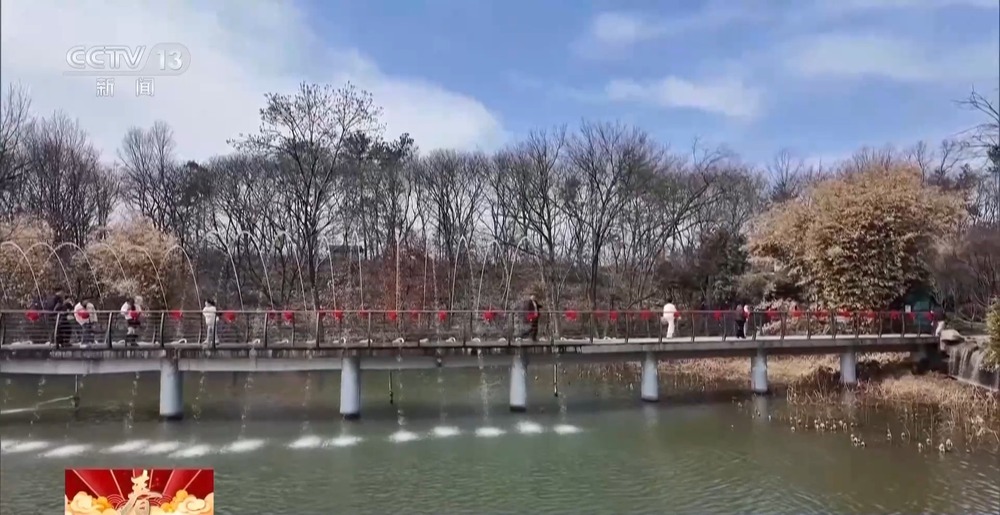 “年俗文化+科技” 各地举办特色活动感受别样年味儿(图9)