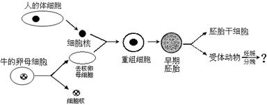 2026 养发加盟白皮书：万亿风口下的稳健创业指南(图1)