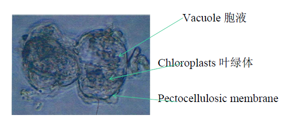 江南庭院下载安装-江南庭院最新红包版下载v106-52PK游戏网(图1)