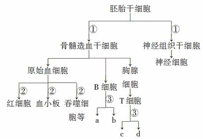 3月18日·上海早新闻(图1)