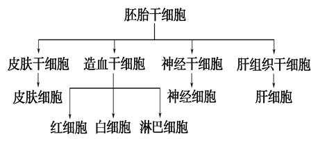 富国安慧短债债券E(图1)