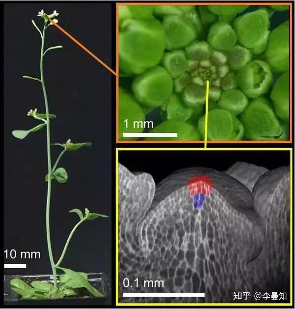 学思践悟 知行合一 提质增效 守正创新(图1)