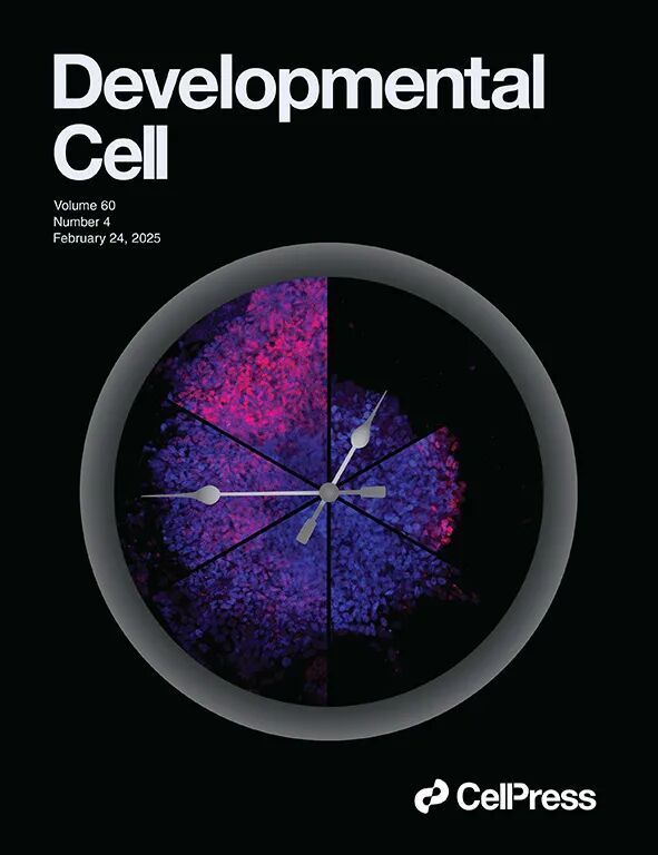 重磅！山东农大这位教授获国际顶尖学界“最高荣誉”(图9)