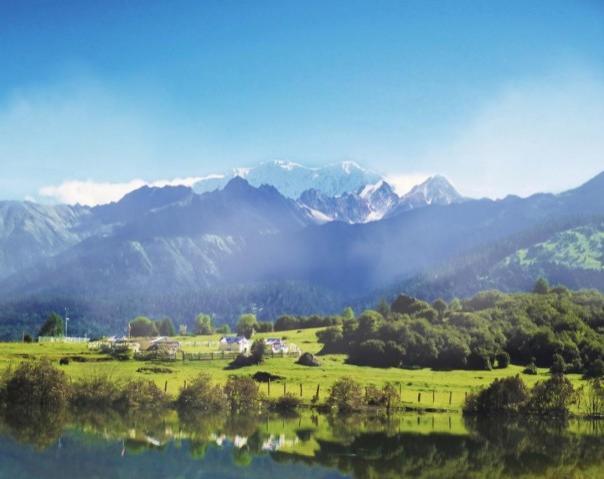 年度新增专利数量：美妆企业技术创新活跃度观察(图2)