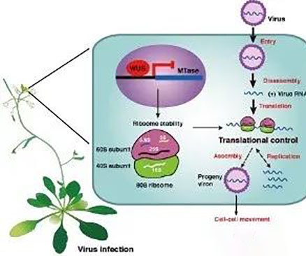 科交会上世界药都尽显“科技范儿”(图1)
