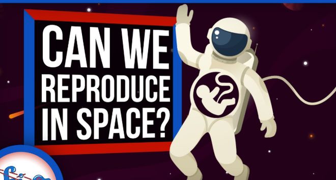 太空孕育：分娩安全性与婴儿健康新探讨(图5)