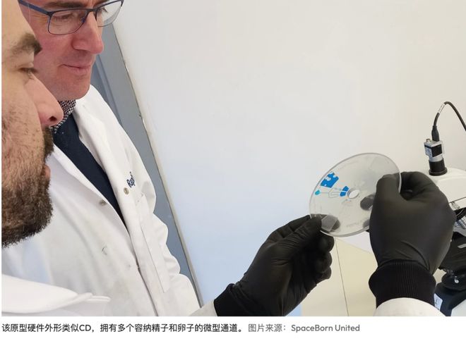 太空孕育：分娩安全性与婴儿健康新探讨(图7)