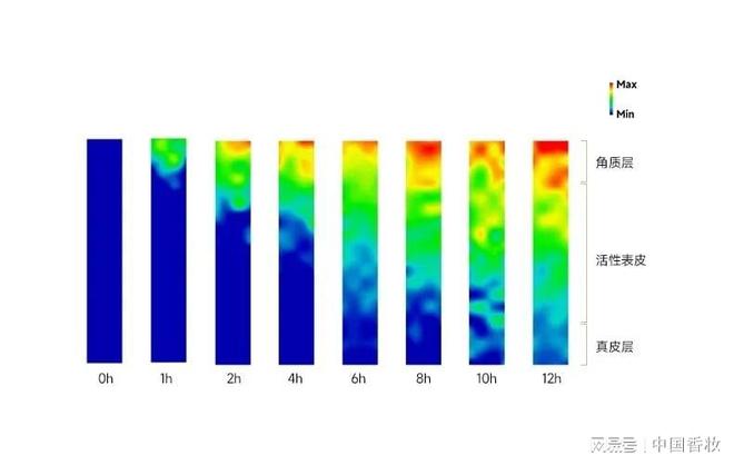 可复美三体胶原透皮革命：重构功效护肤底层逻辑(图10)
