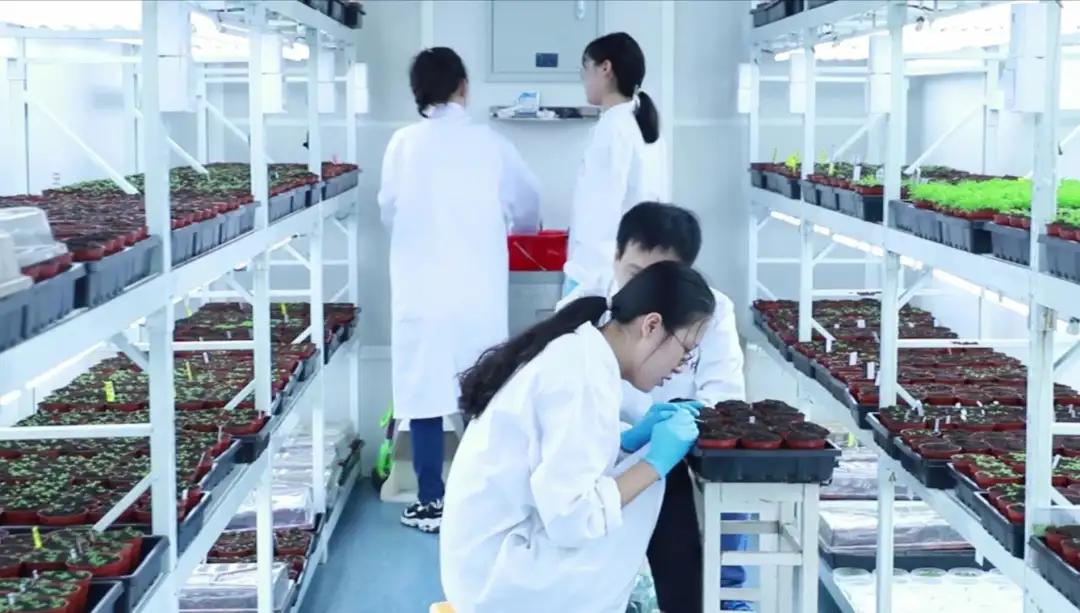 CELLSTEMCELLRESAERCH(图1)