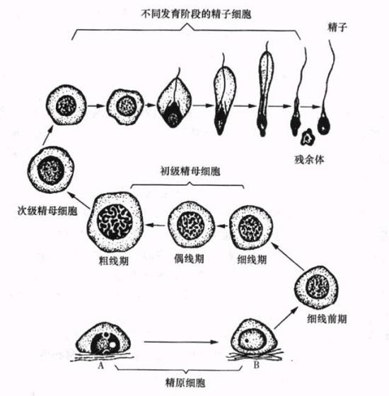 医药_财经_中国网(图1)