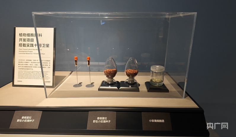 在自然堂未来美妆城仰望星空——一家美妆公司为什么要把展办到“太空”里去？(图3)