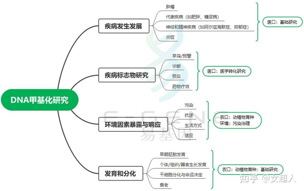 滞销果变健康优品重庆生物企业万吨产能落地(图1)