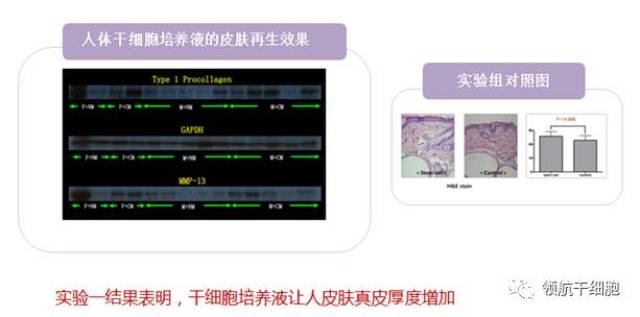 综述：光辅助3D生物打印坚韧水凝胶及其生物医学应用(图1)