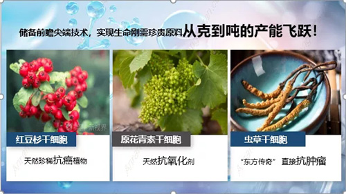 安然植物干细胞技术获中国生产力促进奖(图1)
