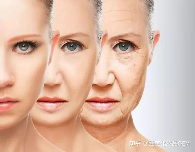 2026互联美容行业发展现状分析与未来展望(图1)