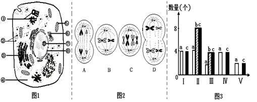 自体干细胞移植的流程(图1)