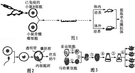 一种干细胞提取工艺的制作方法(图1)
