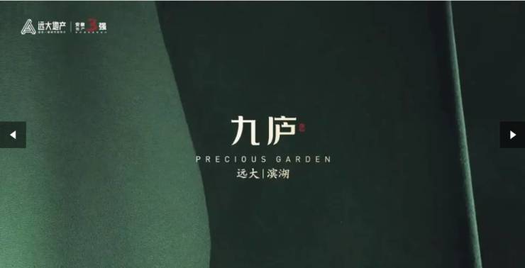 远大九庐项目户型图-优惠(图2)