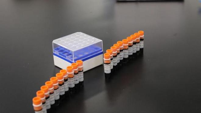 太空归来！安然纳米植物干细胞及不定根种子开启新育种时代(图5)