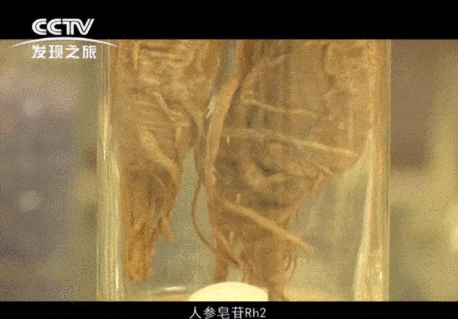 安然纳米植物干细胞技术让抗衰成为一种新的解决方案(图5)