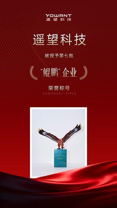 遥望科技入选杭州“鲲鹏”企业 重点发力“内容化”直播与品牌自孵化