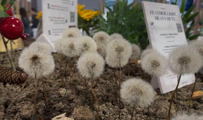 创新、绿色、共创三重浪潮下中国美妆的破局之道(图5)