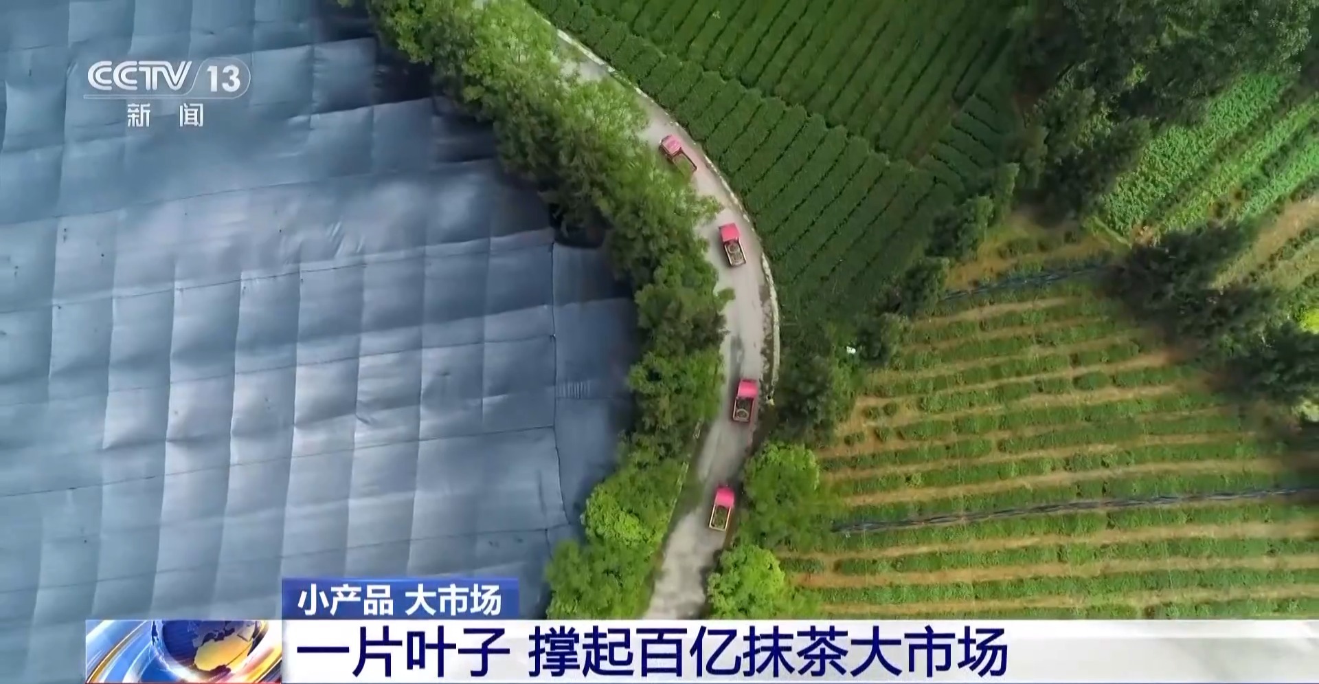 从一片树叶、一杯咖啡到美妆小瓶罐 看小产品如何撬动大市场(图8)