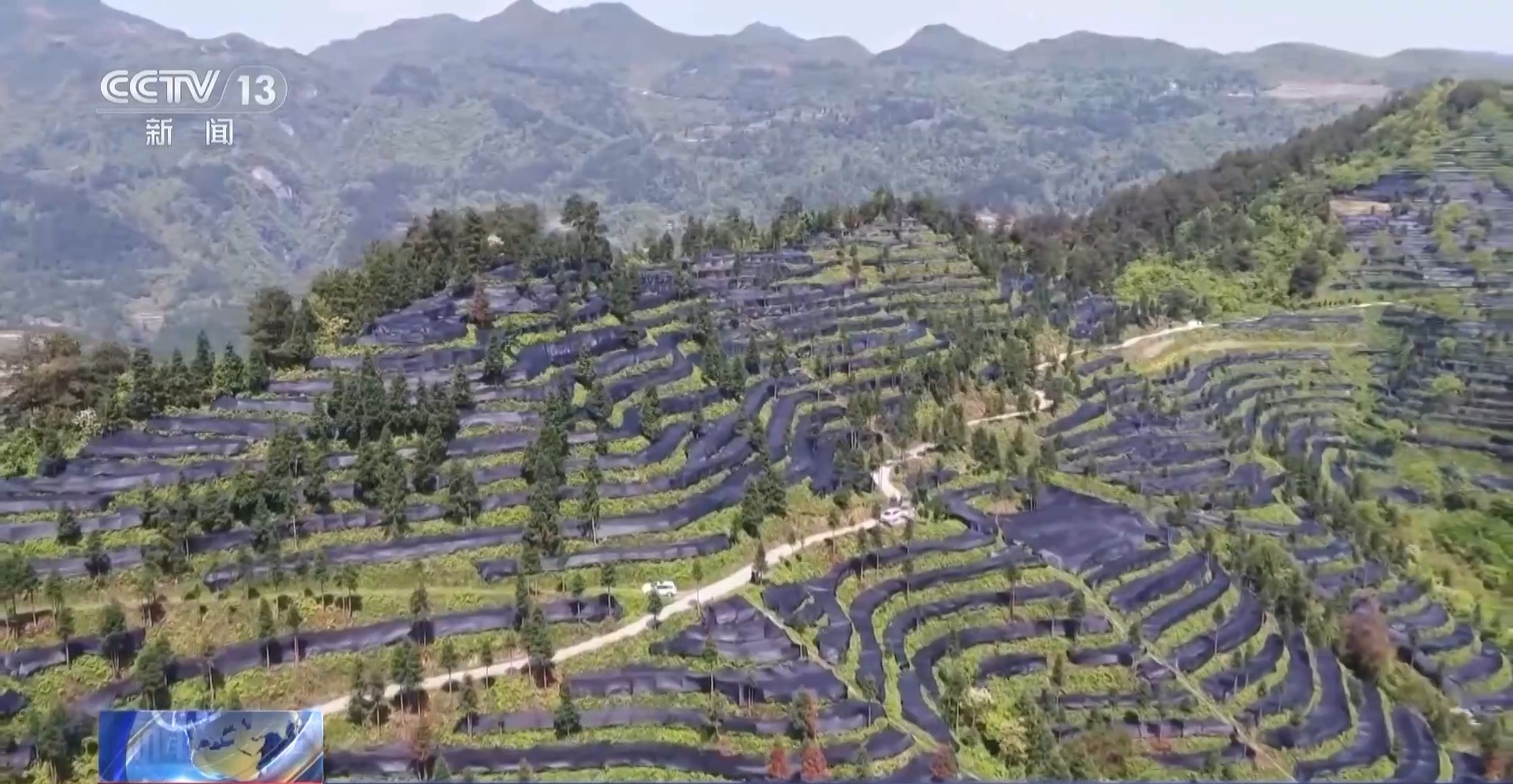 从一片树叶、一杯咖啡到美妆小瓶罐 看小产品如何撬动大市场(图9)