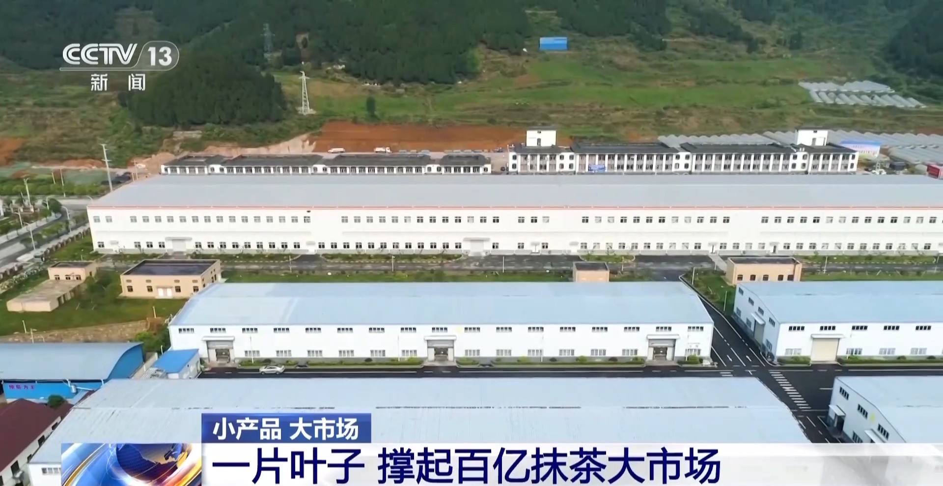 从一片树叶、一杯咖啡到美妆小瓶罐 看小产品如何撬动大市场(图4)