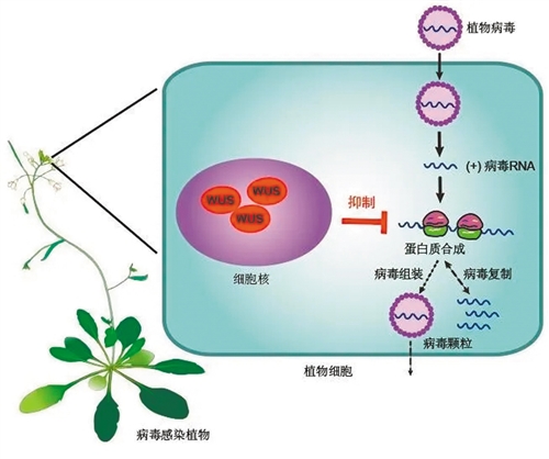 何斌：学术委员会是生物医学新技术开展的“核心守门人”