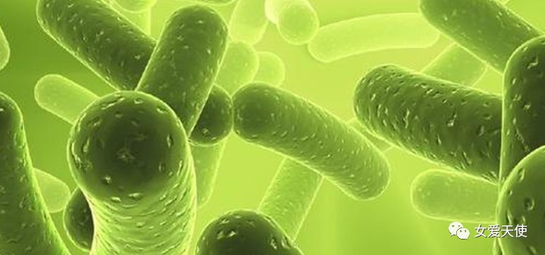 重庆轨道交通15号线最新消息(持续更新)