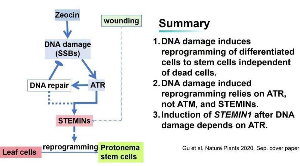 安然纳米入选2025华夏大健康“赋能美好生活案例”