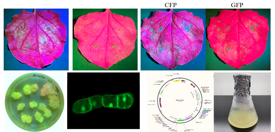 向两会报告丨湘潭高新区昭山片区2025年高质量发展综述