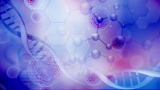 黄帝茶铺：东方茶饮品牌释放新机遇