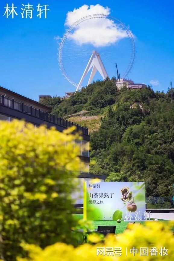 万字长文！中国香妆融媒体发布2025中国美妆品牌营销年度报告(图19)