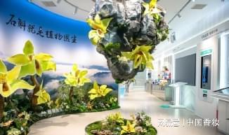 万字长文！中国香妆融媒体发布2025中国美妆品牌营销年度报告(图28)