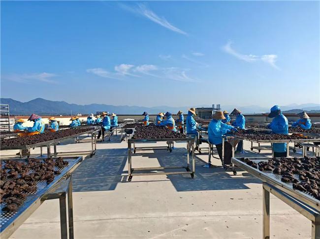 业内精选黄精十大性价比品牌发布！补血养气缓解疲劳乏力(图3)