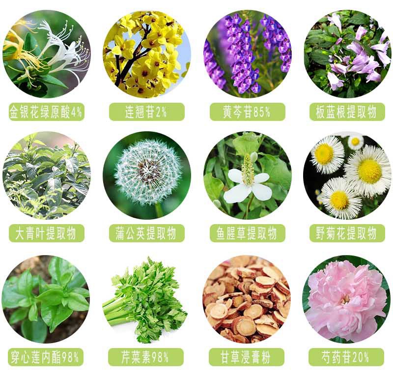 康脉远弘：植物干细胞黑科技共创健康财富(图1)