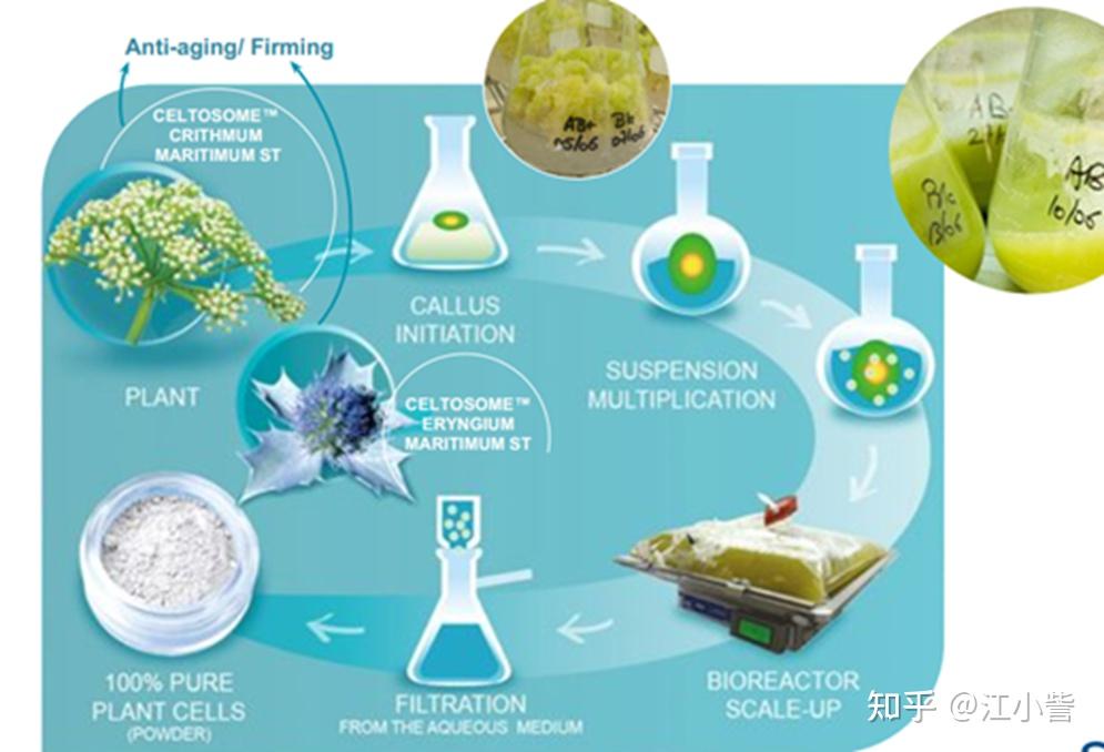 康脉远弘：技术革命执掌千亿养胃蓝海
