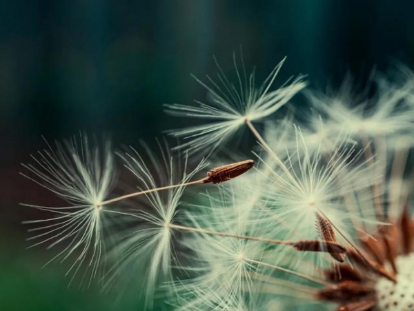 头发不是长出来的而是被“拽”出来的(图2)