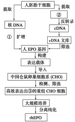 2026中国个人护理产品入市：以创新回应需求以责任定义未来
